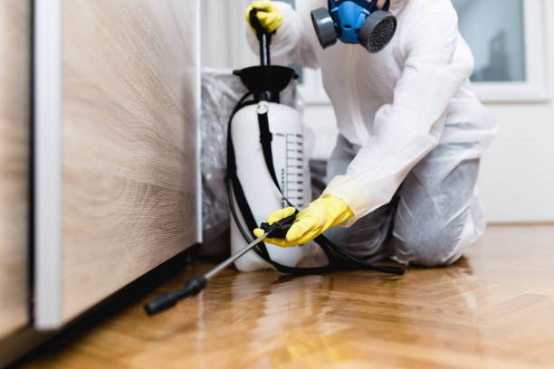 Pest Prevention Services in Atherton, CA